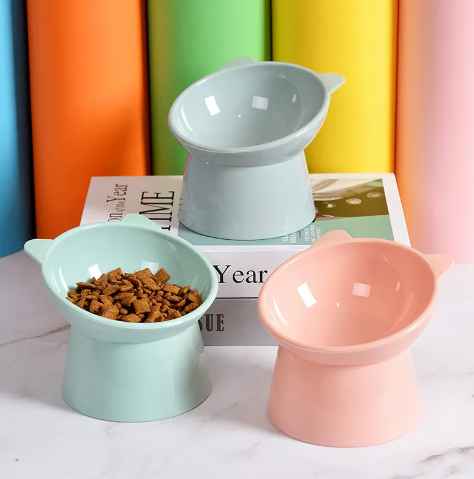 Pet Food Bowl
