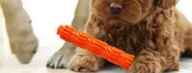 Pet Dog Chew Toy